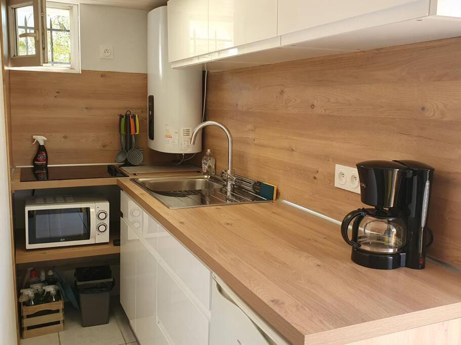 Logement Amboise Centre Avec Terrasse Privee Exteriör bild